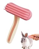 QEDBOJE Kaninchenbürste Katzenbürste, 1x Rosa Silikon Massagebürste für sanfte Fellpflege & entspanntes Bürsten bei Meerschweinchen, Welpen, Kleintieren – entfernt lose Haare