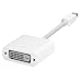 Apple MB570Z/B Mini DisplayPort to DVI Adapter