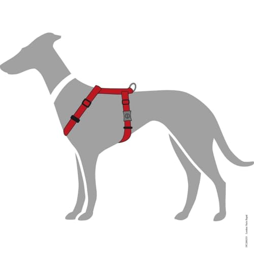 Hunter Hundegeschirr London Vario Rapid, 4-Fach verstellbares Y-Geschirr für kleine & mittlere Hunde, Sicherheitsverschluss mit Verriegelung, Farbe: rot, Größe: S