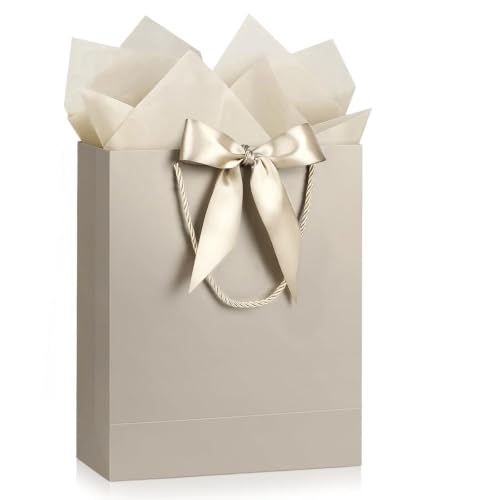Image of JMANNI Gift Bag, 1PCS Bags with Ribbon and 1 Greeting Cards 2 Tissue Paper, Portable Paper Gift Bag with Handles, Present Bags for Birthday Wedding Party Graduation Mothers Day Fathers Day(Champagne)