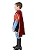 Fun Costumes Toddler Disney Sleeping Beauty Prince Phillip Costume for Boys 2T