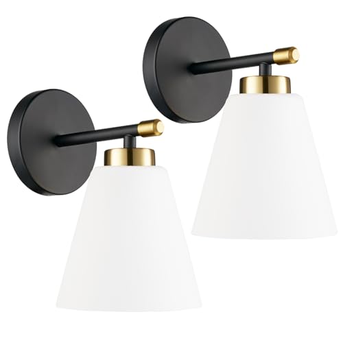 Hamilyeah Black and Gold Wall Sconces Set of 2, Modern