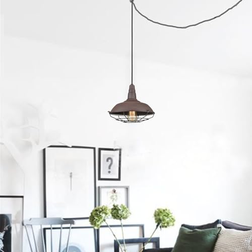 Image of DAYCENT Industrial Plug-in Pendant Light Fixtures Copper Finish