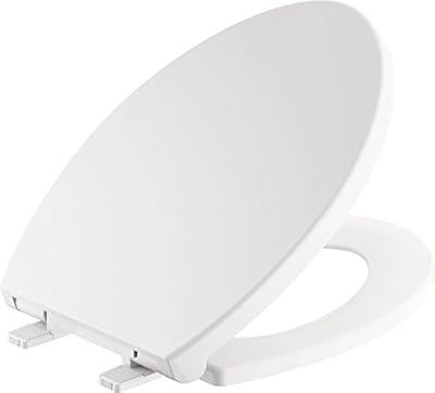 Delta Faucet 810903-WH Morgan Elongated Standard Close Toilet Seat with Non-slip Seat Bumpers, White