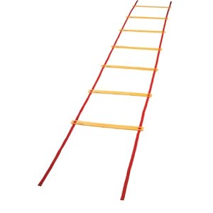 Kampioen Sport Economie Agility Ladder