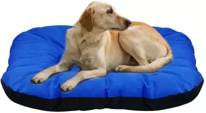See full amazon price history chart for Expecting Smile Reversible Super Soft Premium Fluffy Velvet Sofa Shape Dog Cat Pet Bed, Soft And Comfortable Black Blue_1,Small Expecting Smile Reversible Super Soft Premium Fluffy Velvet Sofa Shape Dog Cat Pet Bed, Soft And Comfortable Black Blue_1,Small (B0CQYX91SP) Amazon Price History, Amazon Price Tracker