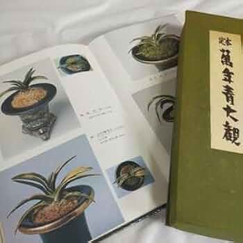萬年青 図版 保育社 国鉄の車両17 四国各線 保育社/B6版