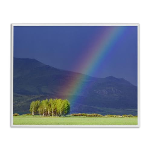 Rainbow Rays Tree Grove Mountain, 11 x 14 Inch Framed Giclée Print