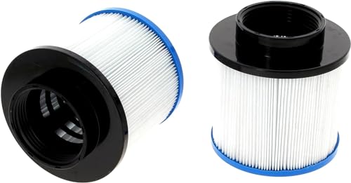 Cartouche / Filtre SPA de haute Qualité Darlly Lot de 2 pcs