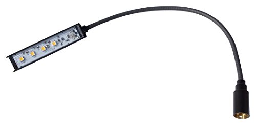 ENCORE Light XLR 3pin �X�g���[�g�^�C�v 40cm �d���F C3S40B