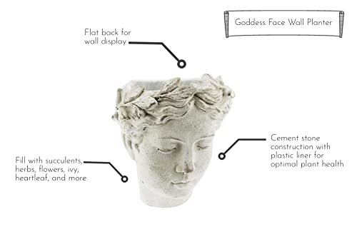 Distinctive Designs Wall-Mounted Greek/Roman Style Female Statue Head Cement Planter, 8" #TOP3