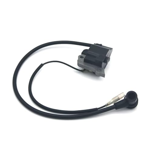 Bobine d'allumage EB650 pour réparer un problème de démarrage souffleur 64cc