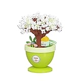 Pear Moon Mini Bonsai Tree Micro Building Set Building Toy Plant Cherry Tree Flower Collection Decor for Home Desk Greenery Decoration Building Blocks DIY Creative Gifts