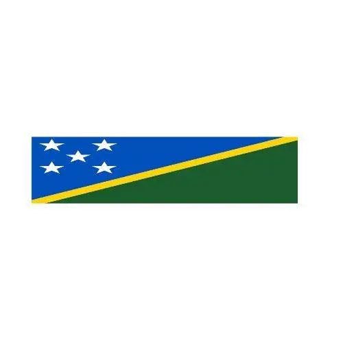 Drapeau des Salomon 90x360cm grand format avec 10 oeillets renforcés XL