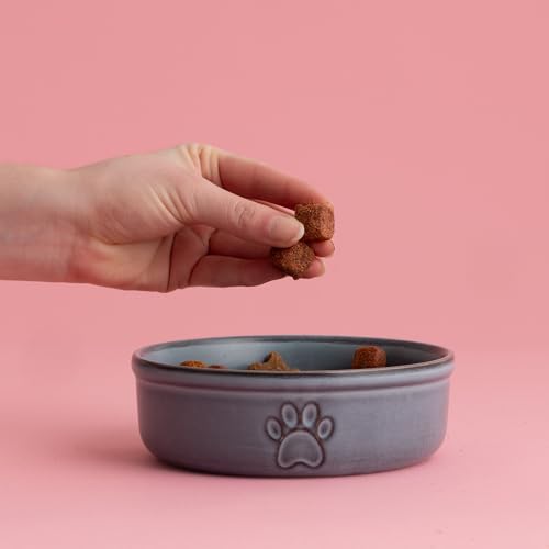 Mason Cash: Reactive Paw Pet Bowl - 5.9", 16.9oz - Blue Glaze, Dog Food-Water Dish, Ceramic Stoneware, Microwave-Dishwasher Safe, Feeding-Hydration by Mason Cash - Image 2