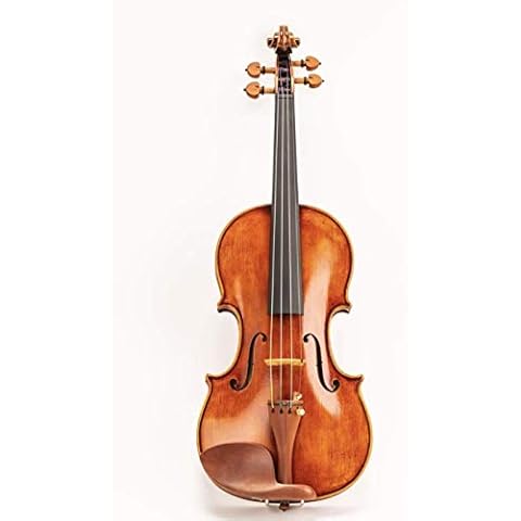 D Z Strad Model 350 Violin Outfit Cover