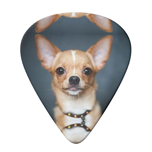 Ensemble de 6 médiators de guitare Chihuahua mignon pour guitare acoustique, guitare électrique, basse, ukulélé – fin… - Les Beatles, Paul McCartney, John Lennon, RIngo Starr, George Harrison Ensemble de 6 médiators de guitare Chihuahua mignon pour guitare acoustique, guitare électrique, basse, ukulélé - fin… – Image 4