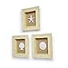 Beachy Set of 3 Shell Shabby Chic Shadow Boxes- Creamy Off White Frame 7