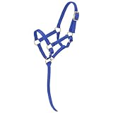 Tough 1 Miniature Nylon Halter, Royal Blue, Regular Mini.