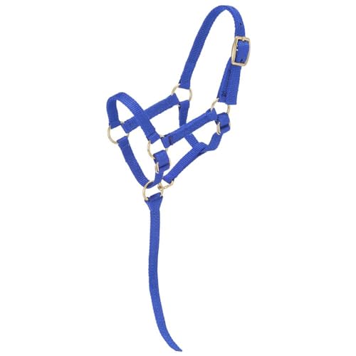 Tough 1 Miniature Nylon Halter - Royal Blue - Medium