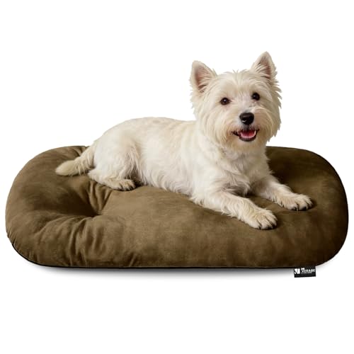 Image of Washable Oval Dog Bed for Small Dogs,Silver-Tipped High-Resilience,Brown | Non-Slip Bottom Prevents Sliding,Soft Plush Short Fur,Machine Washable Cushion,Ideal for Crates & Small Spaces,23 inchx17 inchx2.8 inch