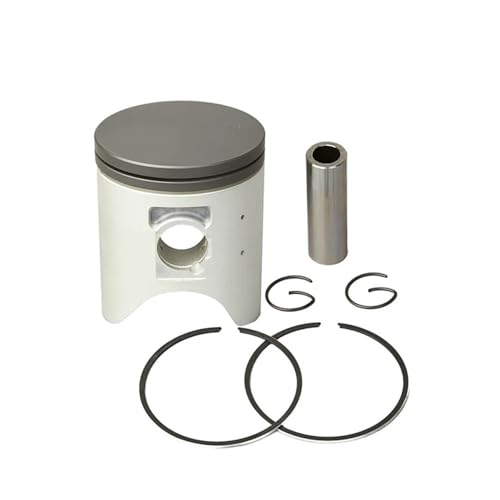 Ho CRM250 R CRM250R CRM 250R 246 KAE MD24 TCY 66 66.25 66.50 67 mm I[goCGWp[c STD~+100 sXg&OLbgɓK(66mm)