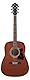 Ibanez V54NJP-OPN Jampack - Westerngitarre