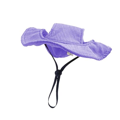 KiBcsLic ėppLbv qpTnbg ߉\ ^E^E^p pXq 킢ybgpoPbgnbg jO AEghA nCLOp, XS