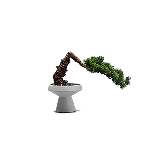 Bonsaï artificiel haut de gamme et ornements de simulation Feng Shui