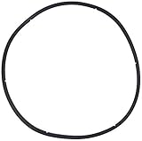 Pentair 350166 30-Lid O-ring for Pool Systems
