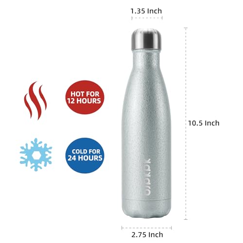 Image of BJPKPK Insulated Water Bottles 17oz, Leak Proof Stainless Steel Water Bottle Keeps Cold for 24H and Hot for 12H, BPA Free,Silver