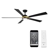 Rotary Indoor and Outdoor 5-Blade 65in Smart Home...