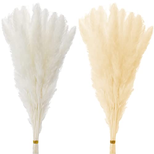 30 Stück Natürliches Pampasgras Trockenblumen Deko Set Pampasgras Deko Trockenblumen Strauß Natürliche Pampas Deko Natürliche Trockenblumen DIY Getrocknete Blumen Deko für Blumenarrangement B Cover