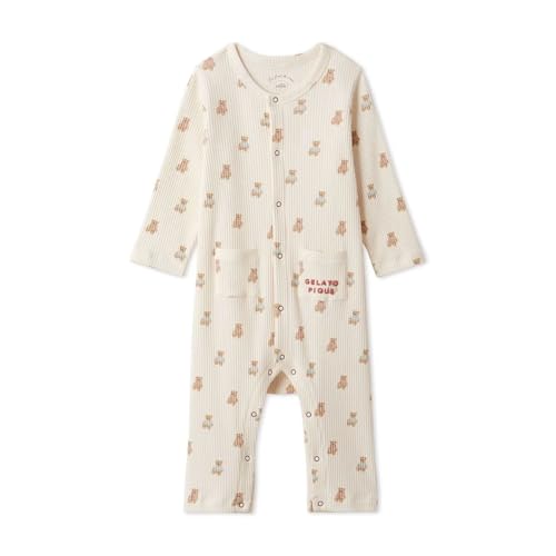 WF[gsP LbYAhxCr[ xr[ ̘H菤i HOLIDAY p[X WF(IV-AC{[A80)