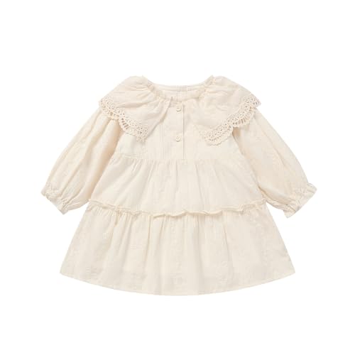 Toddler Girl Embroidered Dress Cotton Lined Eyelet Lace Trim for 12M-6X