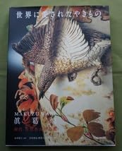 帝室技藝員 眞葛香山作品集 Amazon.co.jp: 眞葛焼(MAKUZU WARE) 初代 宮川香山 作品集 ＜・＞銘