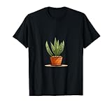 Planta De Sansevieria Design Botany Housegslant