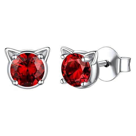 ChicSilver Oreja de Gato Pendientes Plata de Ley 925 Enero Diamantes de Nacer Cover