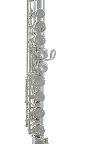 Roy Benson Rbfl-402E Student Flute #TOP4