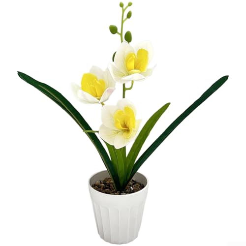 Arreglo floral en maceta de orquídeas Cymbidium de plástico para el hogar, oficina, sala de estar, dormitorio y configuración de telón de fondo de boda (blanco)