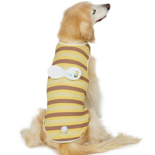 ybgp_CX   t  I GRbV ^Ngbv gbvX yQl SM Č r[O (`13kg) ybgp_CXcX72XܓWJ2025/10/1_z K