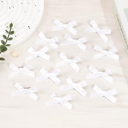 Ayesha Pack 25 Pinzas Blancas para Cabello miniatura 5