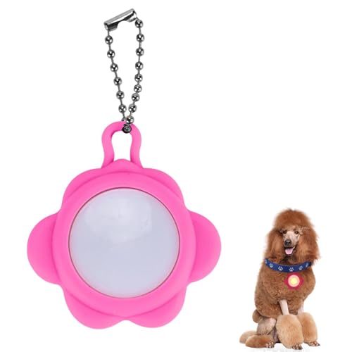 LifetipsX^_[hEv[hiStandard PoodlejDoberman Pinscher Lp LEDUCg `[ h y USB[d 3_[h  ցEn[lXE[h ԈSLEDUCg 