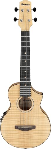 Amazon.co.jp: Ibanez/アイバニーズ コンサート・スタイル