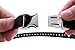 Educator Quick Snap Bungee Dog Collar, Biothane, Waterproof, Odorproof, Easy Connect and Disconnect Clasp and D Ring with Comfort Bungee Loop, Adjustable for Custom Fit, 1-Inch, Black