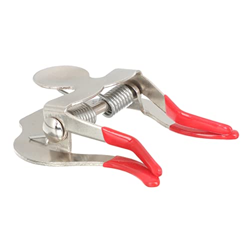 ifundom yʋ[ N[~[g n՗pmCYጸANZT[ vdlTCT[ RpNg݌vKt