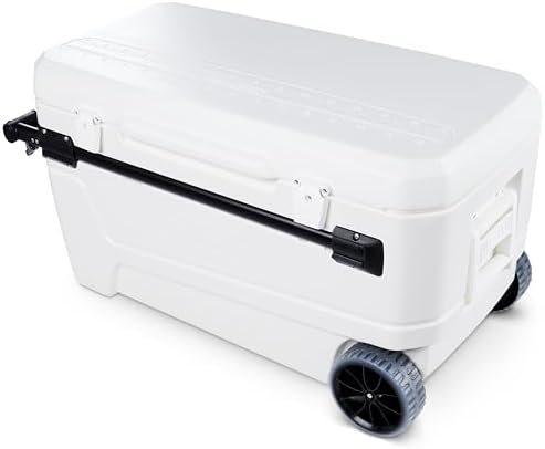 best igloo cooler in St. Louis, MO