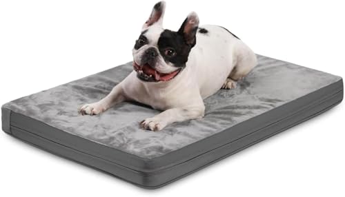 CokBlu�y�b�g�x�b�h ���x�b�h �N�b�V���� �ᔽ�����p�x�b�h�}�b�g���X �\�t�g�y�b�g�N���[�g�}�b�g ���O���\ �􂦂�N�b�V�����}�b�g���X �W�b�p�[�Ɗ���~�ߕt�� �L�y�b�g�p�Q�}�b�g ��/��^���p �y�� ���p �ϋv�� (58x43x7cm)