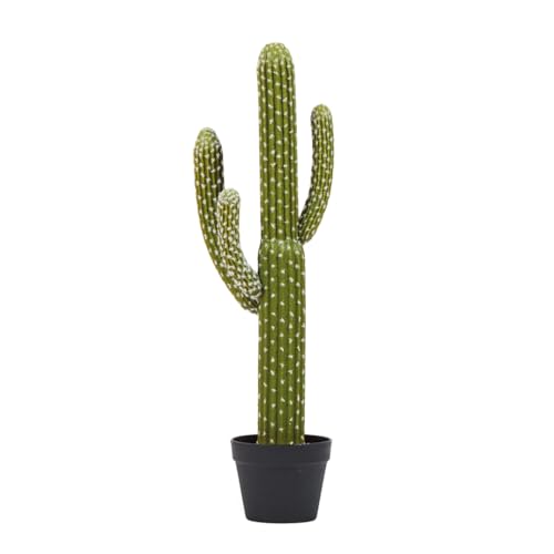 Catral Saguaro, Verde, 82 Cm