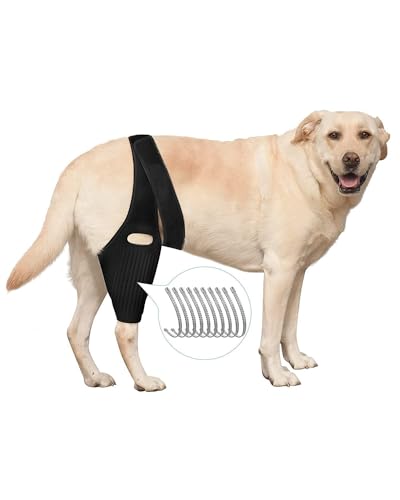 Image of Dog Knee Brace for Hind and Rear Leg, Support for Dog ACL CCL Cruciate Ligament Injury Joint Pain and Muscle Sore (Size: S)